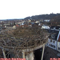 06_35-nest.jpg