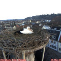 06_45-nest.jpg