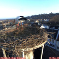 07_00-nest.jpg