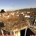 09_00-nest.jpg