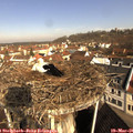 09_30-nest.jpg