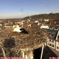09_35-nest.jpg