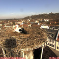 09_40-nest.jpg