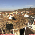 10_05-nest.jpg