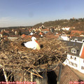 13_05-nest.jpg