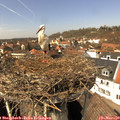 13_15-nest.jpg