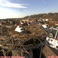 15_20-nest.jpg