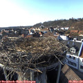 16_25-nest.jpg