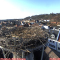 16_30-nest.jpg