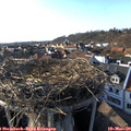 16_55-nest.jpg