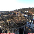 17_10-nest.jpg