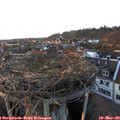 18_00-nest.jpg