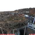 18_05-nest.jpg