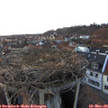 18_10-nest.jpg