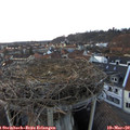 18_15-nest.jpg