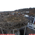 18_25-nest.jpg