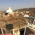 10_05-nest.jpg