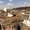 13_05-nest.jpg