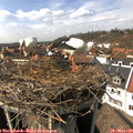 14_25-nest.jpg