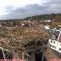 15_05-nest.jpg