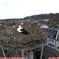 15_35-nest.jpg