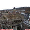 16_00-nest.jpg