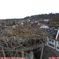 16_05-nest.jpg