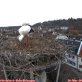 16_10-nest.jpg