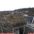 16_50-nest.jpg