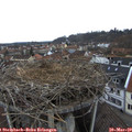 16_55-nest.jpg
