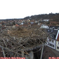 17_00-nest.jpg