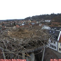 17_15-nest.jpg
