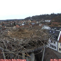 17_25-nest.jpg