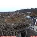 17_35-nest.jpg