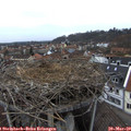 17_40-nest.jpg