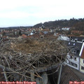 17_45-nest.jpg