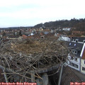 17_50-nest.jpg