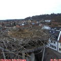 18_10-nest.jpg
