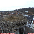 18_15-nest.jpg
