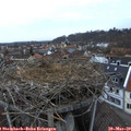 18_20-nest.jpg