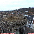 18_25-nest.jpg