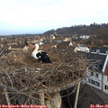 06_30-nest.jpg