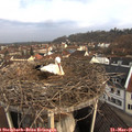 07_55-nest.jpg