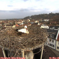 08_00-nest.jpg