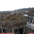 14_30-nest.jpg