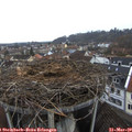 15_35-nest.jpg