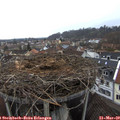 15_40-nest.jpg