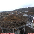 16_55-nest.jpg