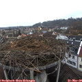 17_05-nest.jpg