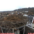 17_10-nest.jpg